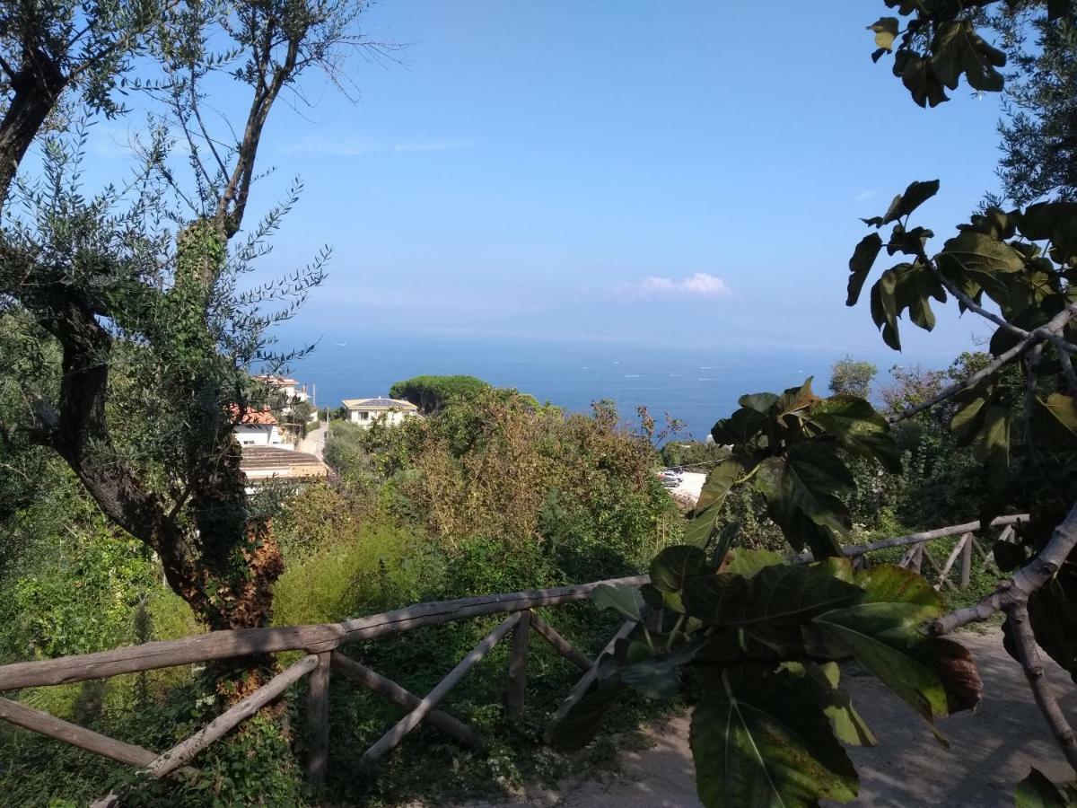 Anna Belle Elegant Agriresort Sorrento Kültér fotó