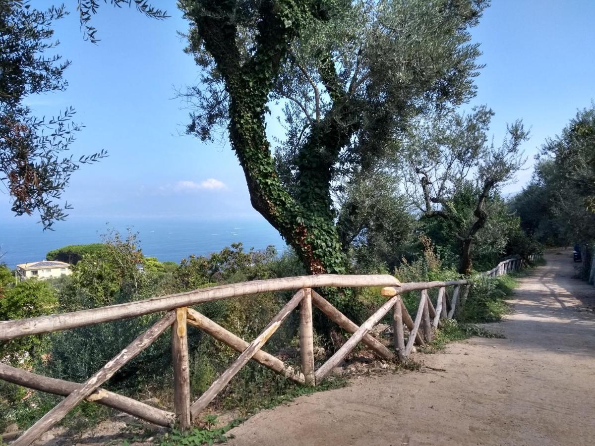 Anna Belle Elegant Agriresort Sorrento Kültér fotó